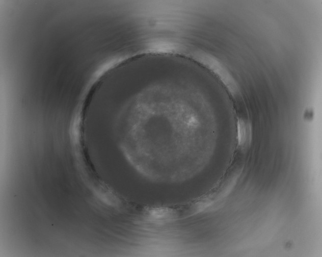 X0000102530579200808221907