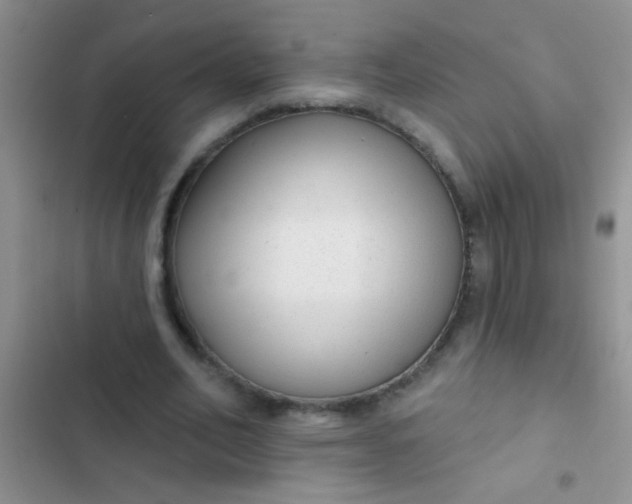 X0000102530582200808221907