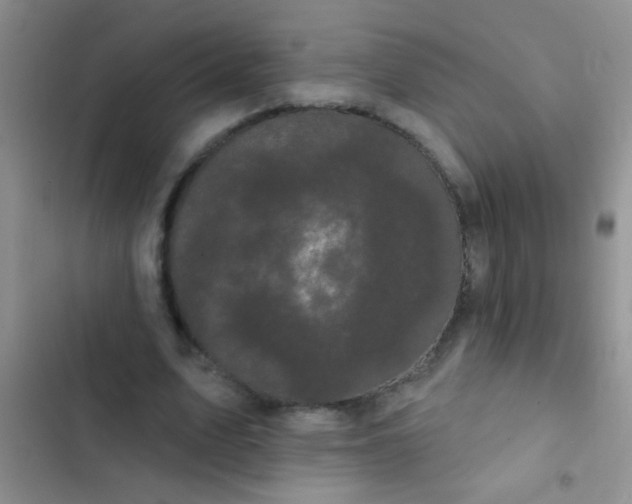 X0000102530583200808221907