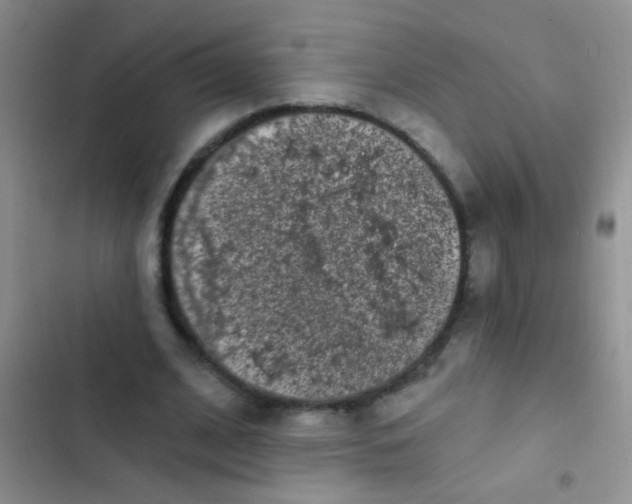 X0000102530584200808221907