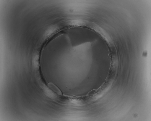 X0000102530585200808221907