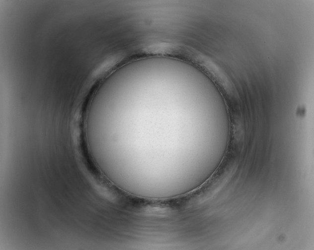 X0000102530586200808221907