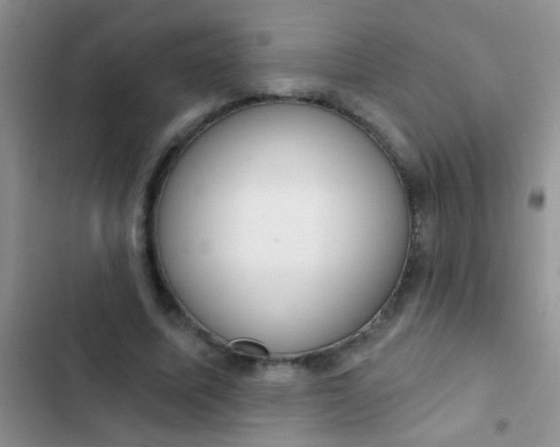 X0000102530587200808221907