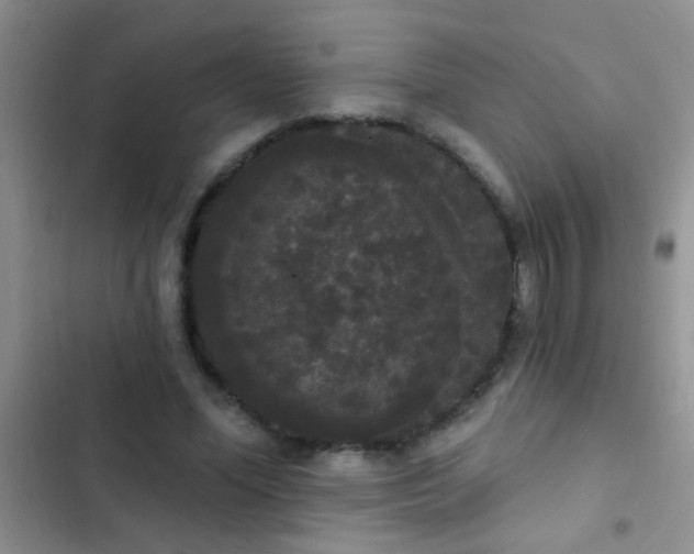 X0000102530588200808221907