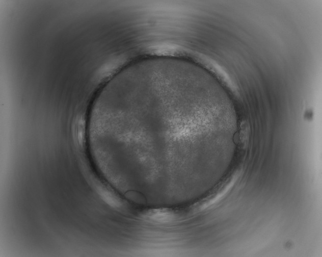 X0000102530589200808221907