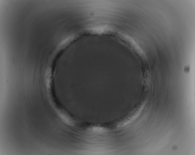 X0000102530590200808221907