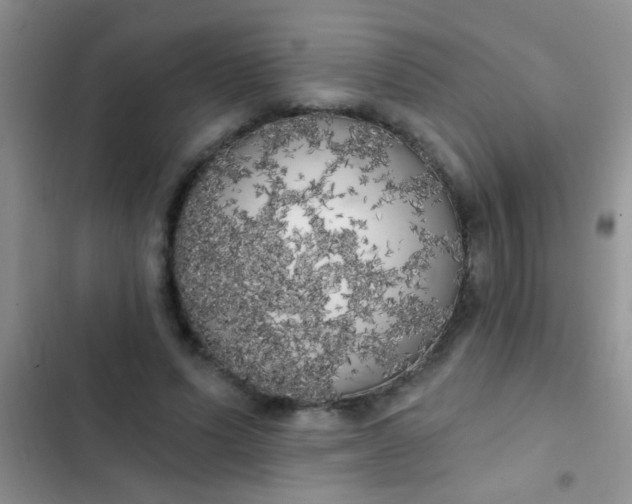 X0000102530591200808221907