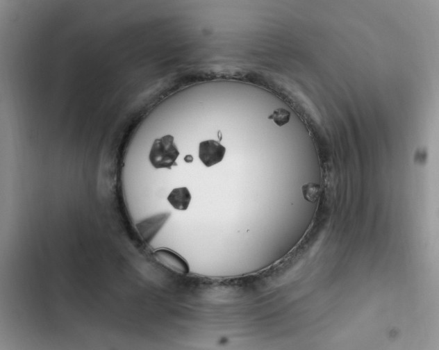 X0000102530593200808221907