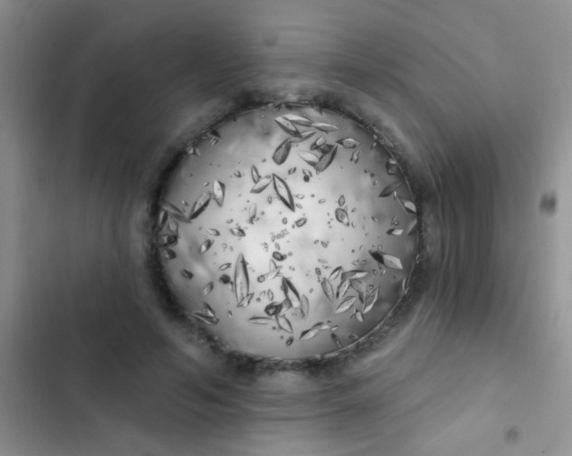 X0000102530594200808221907