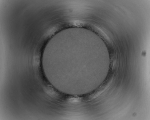 X0000102530595200808221907