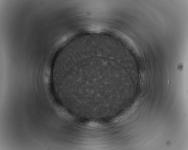 X0000102530596200808221907