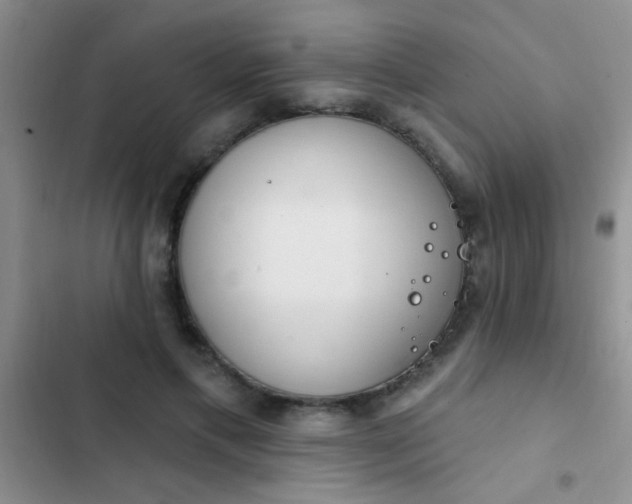 X0000102530597200808221907