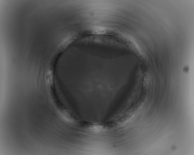 X0000102530598200808221907