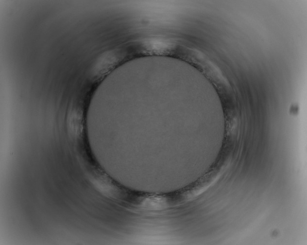 X0000102530599200808221907