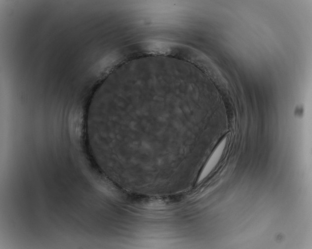 X0000102530600200808221907