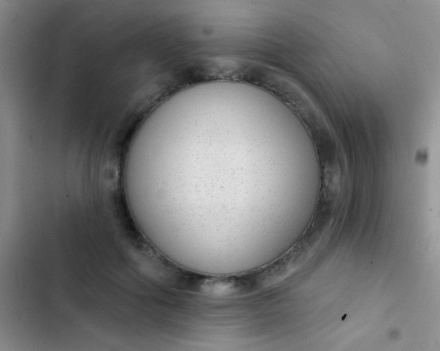 X0000102530602200808221907