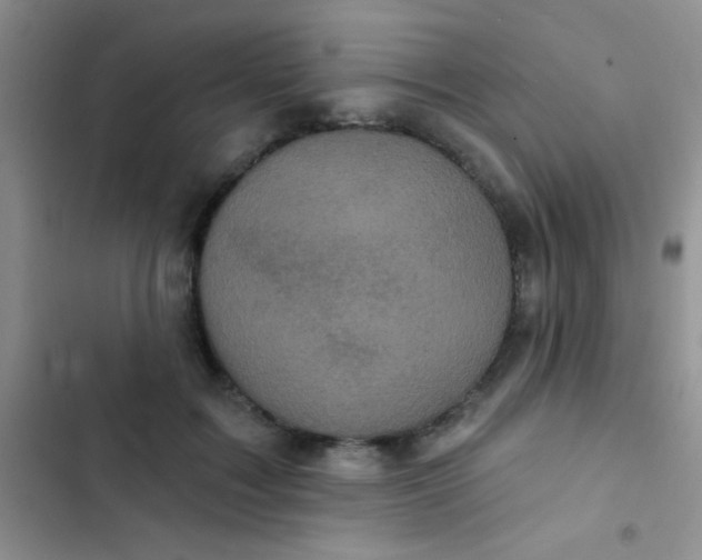 X0000102530603200808221907