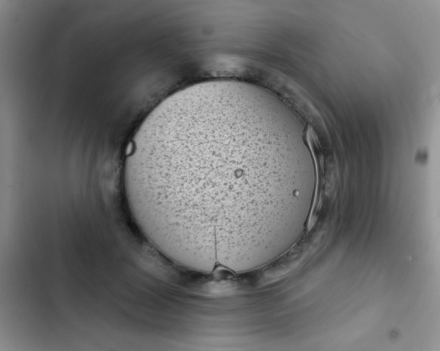 X0000102530604200808221907