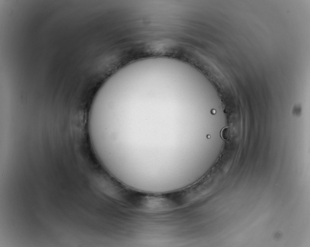 X0000102530605200808221907