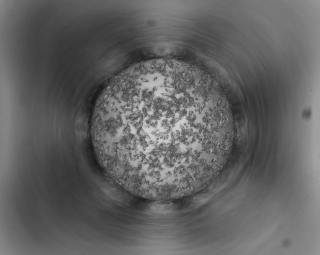 X0000102530606200808221907