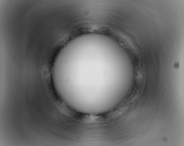 X0000102530607200808221906