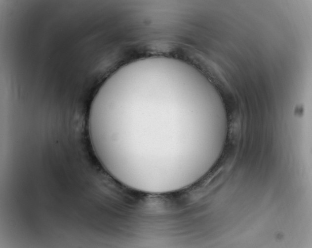 X0000102530608200808221906