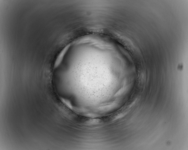 X0000102530609200808221906