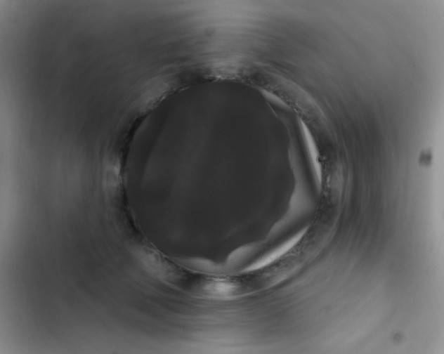 X0000102530610200808221906