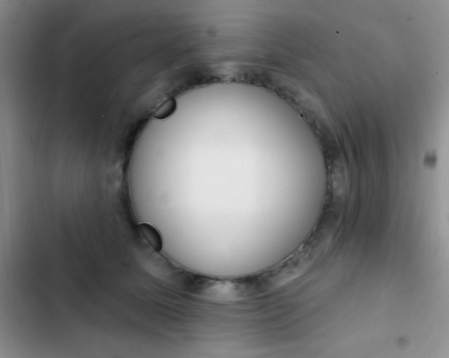 X0000102530611200808221906