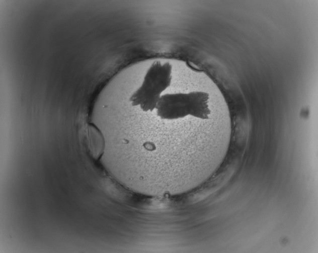 X0000102530612200808221906