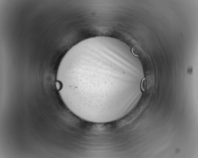 X0000102530613200808221906