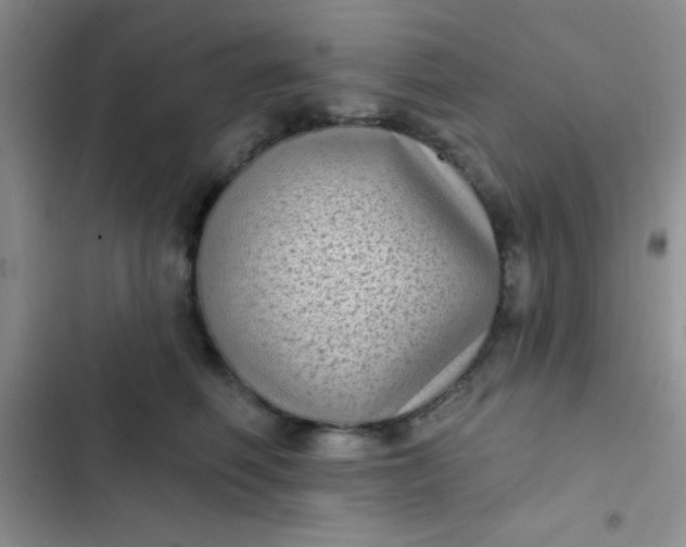 X0000102530614200808221906