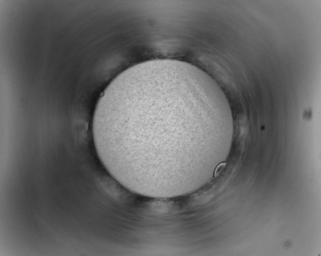 X0000102530615200808221906