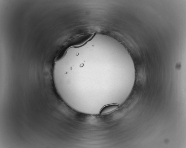 X0000102530616200808221906