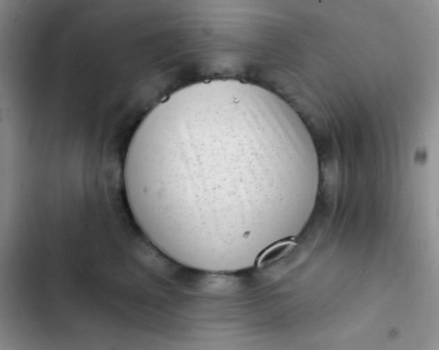 X0000102530617200808221906