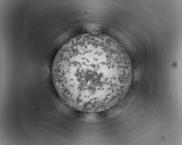 X0000102530618200808221906