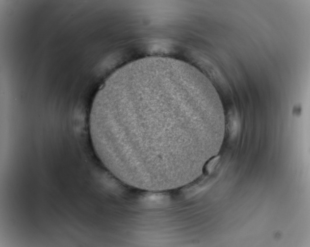 X0000102530619200808221906