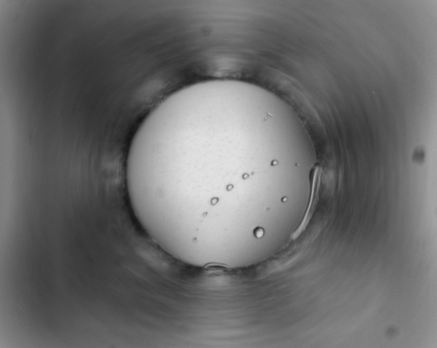 X0000102530620200808221906