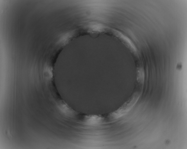 X0000102530621200808221906