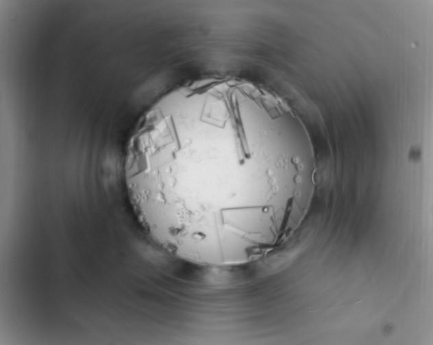 X0000102530623200808221906