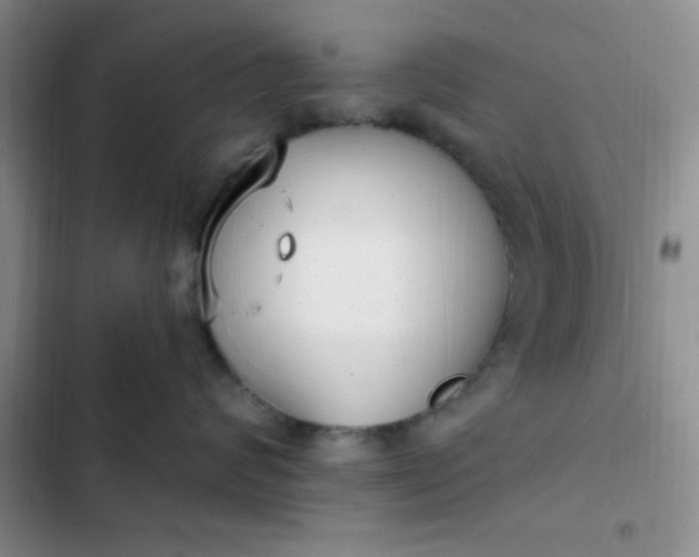 X0000102530624200808221906