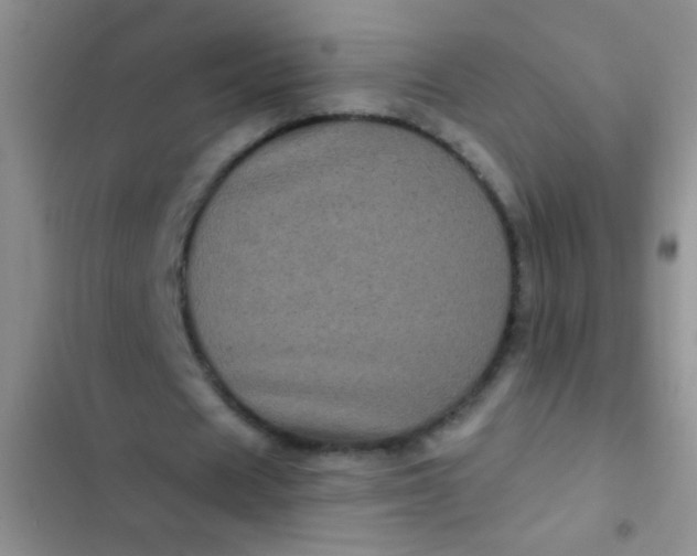 X0000102530625200808221906