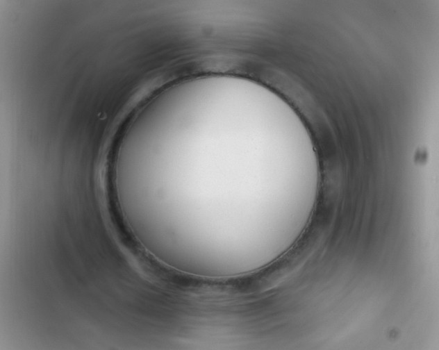 X0000102530626200808221906