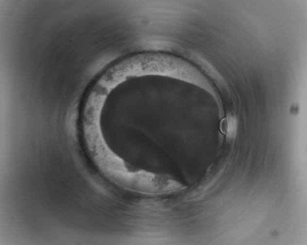 X0000102530627200808221906