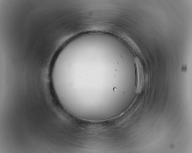 X0000102530628200808221906