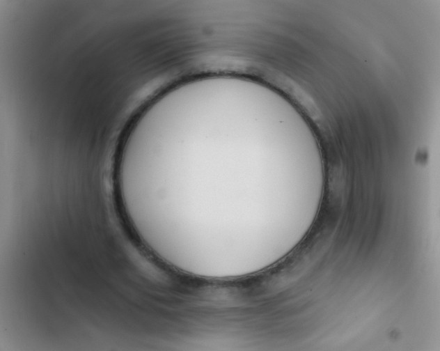 X0000102530629200808221906