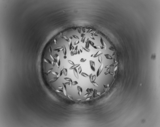 X0000102530630200808221906