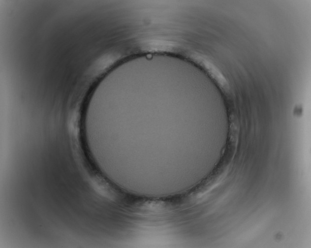 X0000102530631200808221906