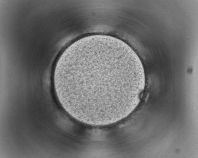 X0000102530632200808221906