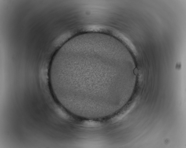 X0000102530633200808221906